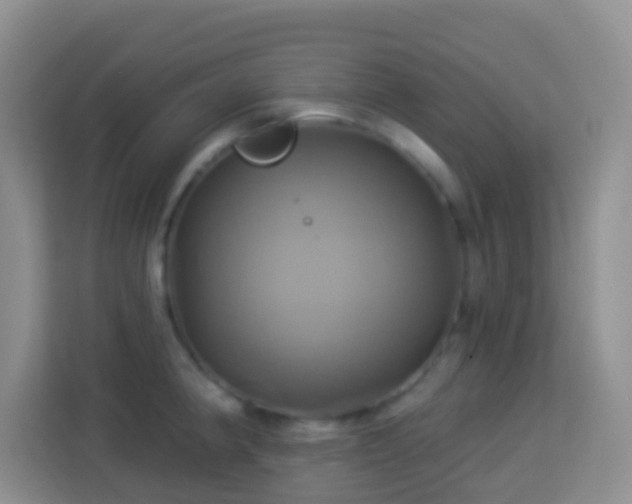 X0000114101190200910051439