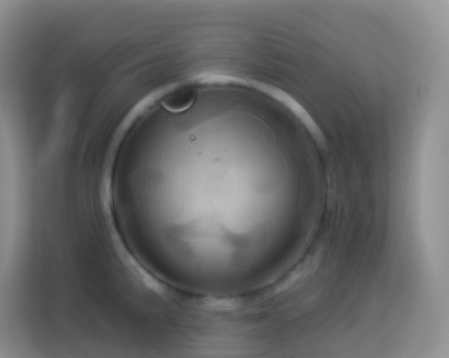 X0000114101191200910051439