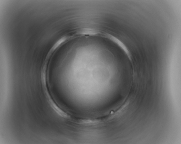 X0000114101195200910051439