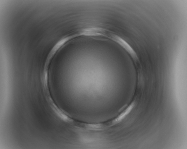 X0000114101196200910051439