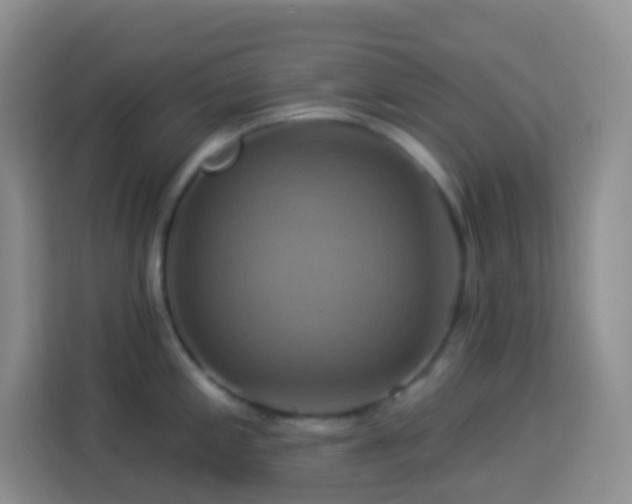 X0000114101197200910051439