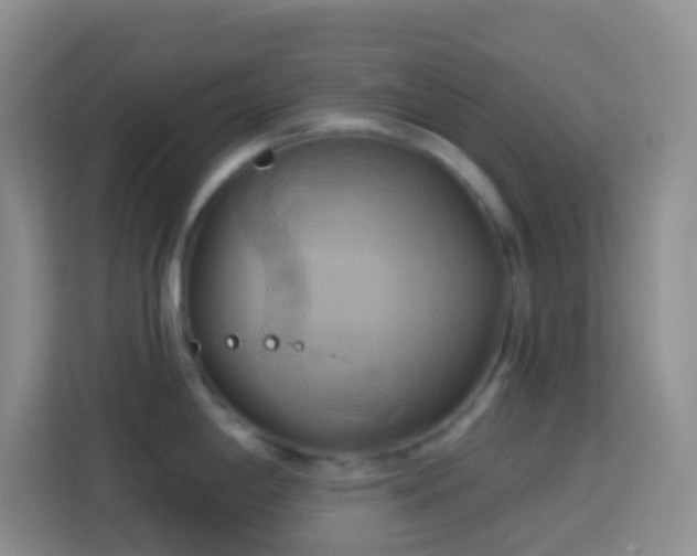 X0000114101198200910051439