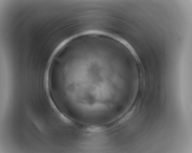 X0000114101199200910051439