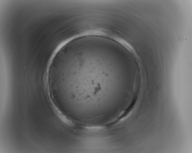 X0000114101200200910051439