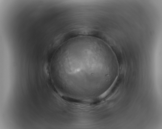 X0000114101202200910051438