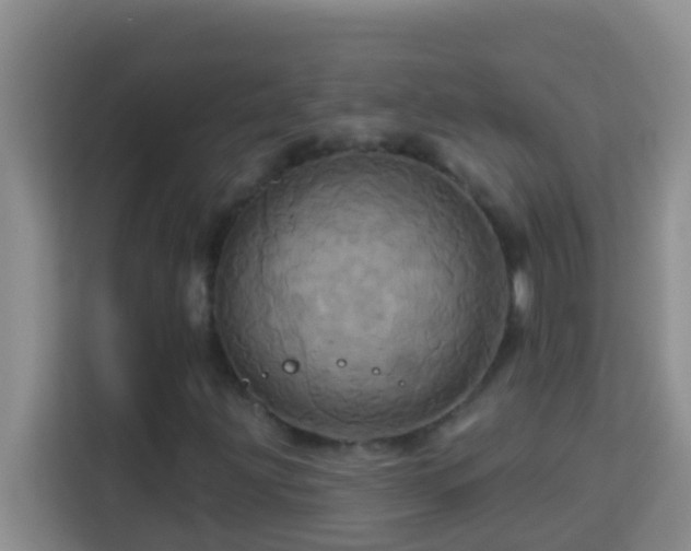 X0000114101203200910051438