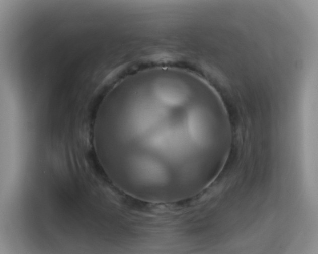 X0000114101205200910051438