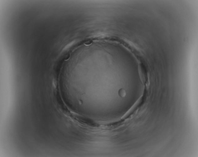 X0000114101206200910051438