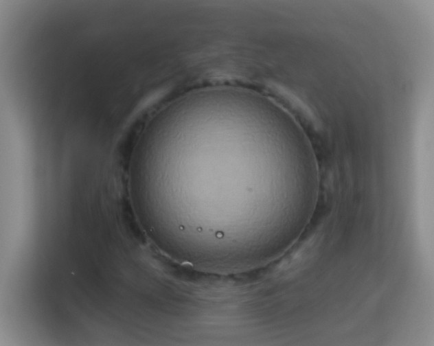 X0000114101207200910051438