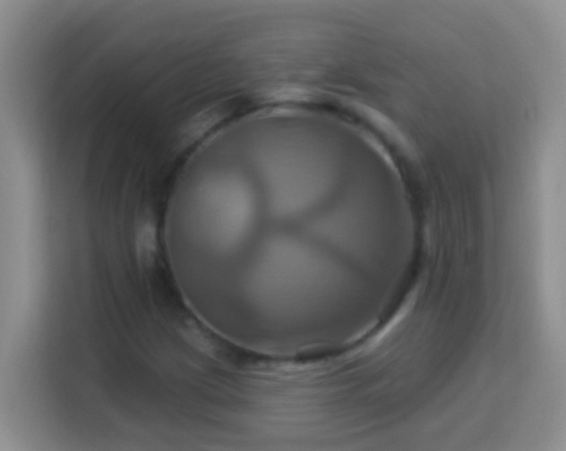 X0000114101209200910051438