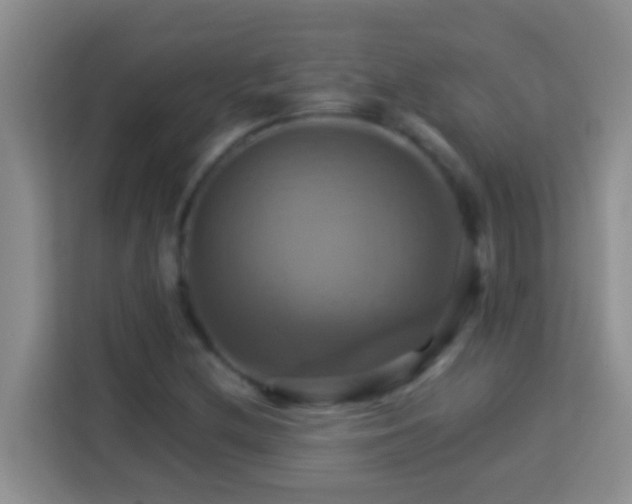 X0000114101212200910051438