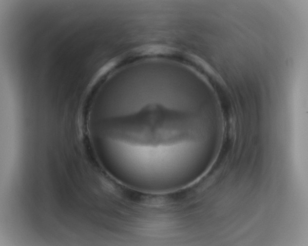 X0000114101213200910051438