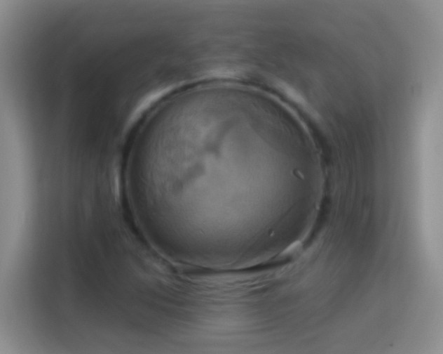 X0000114101214200910051438