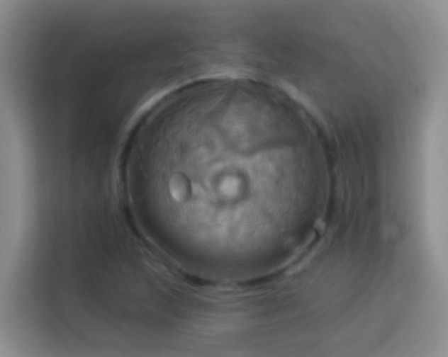 X0000114101215200910051438