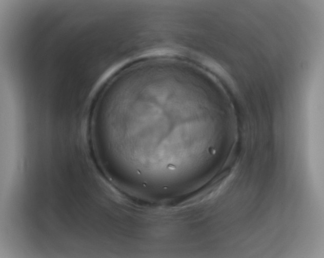 X0000114101216200910051438