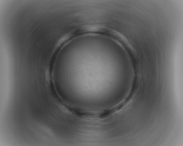 X0000114101218200910051438