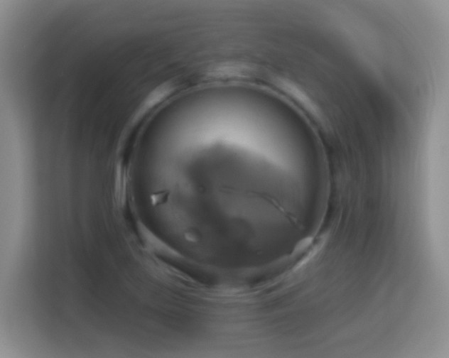 X0000114101219200910051438