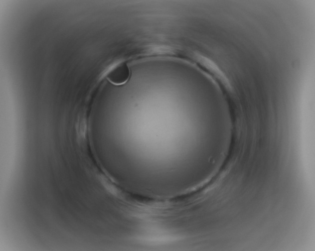 X0000114101220200910051438