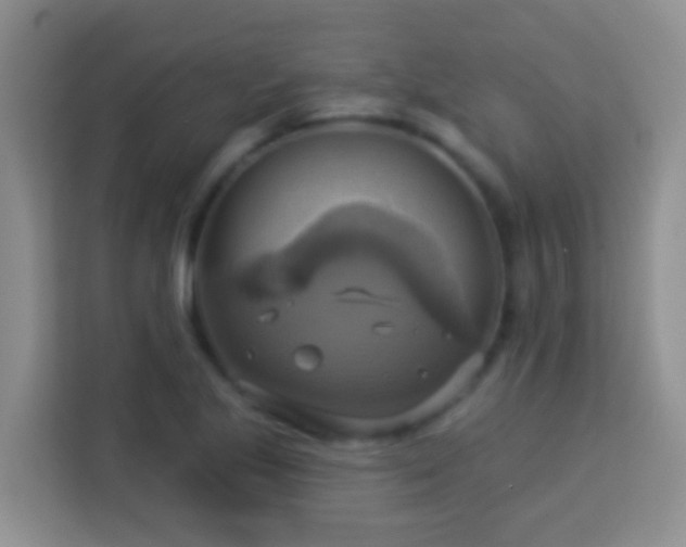 X0000114101221200910051438