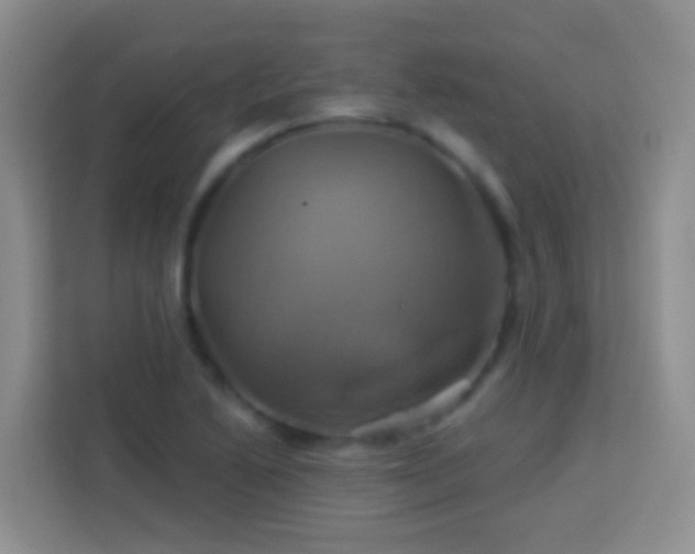 X0000114101222200910051438