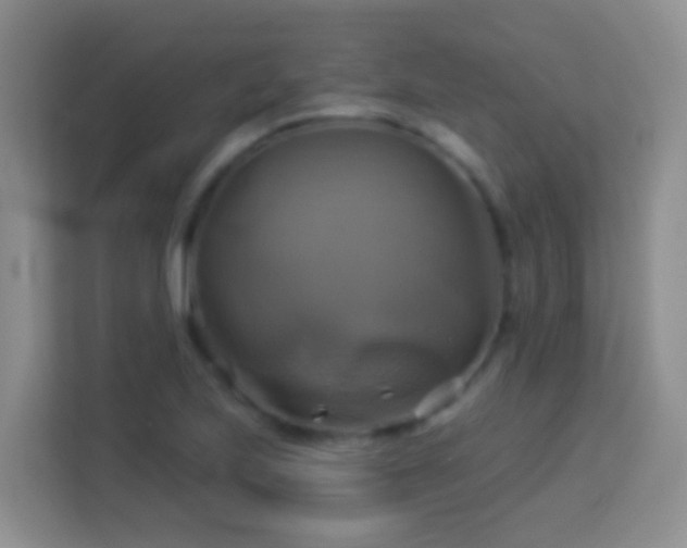 X0000114101223200910051438