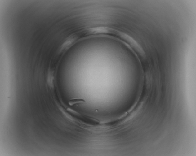 X0000114101225200910051438