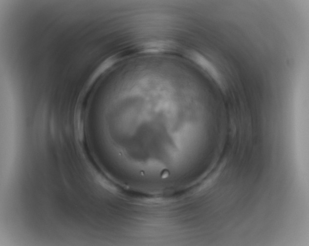 X0000114101227200910051438