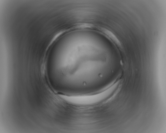 X0000114101228200910051438