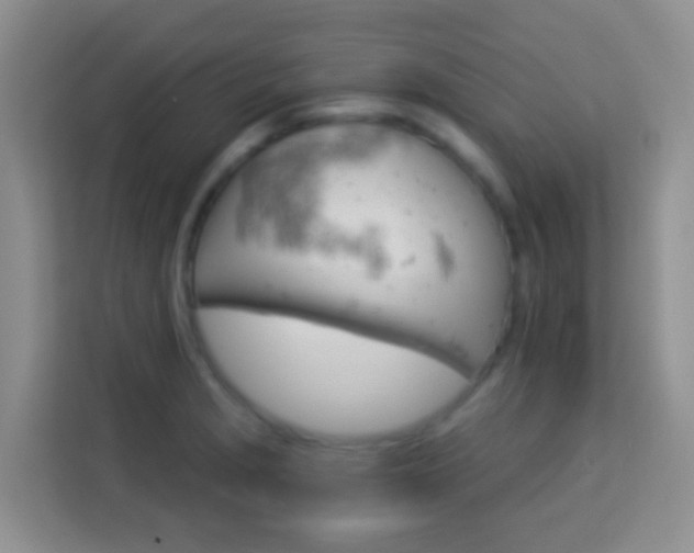 X0000114101229200910051438