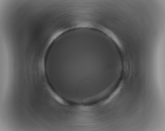 X0000114101230200910051438