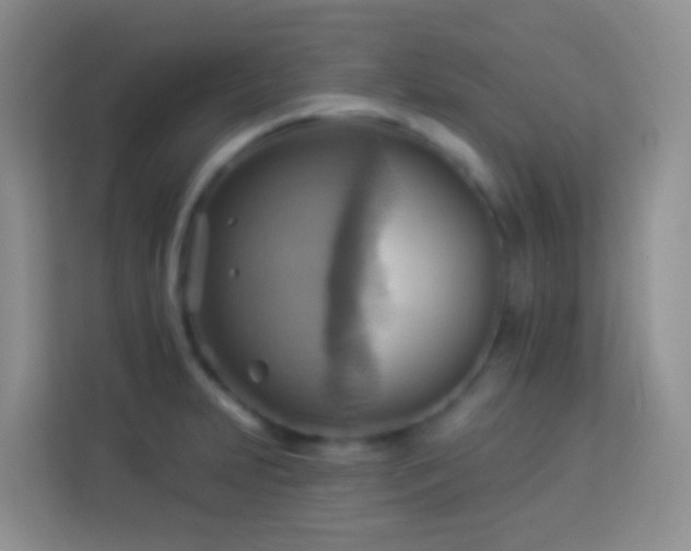 X0000114101231200910051438