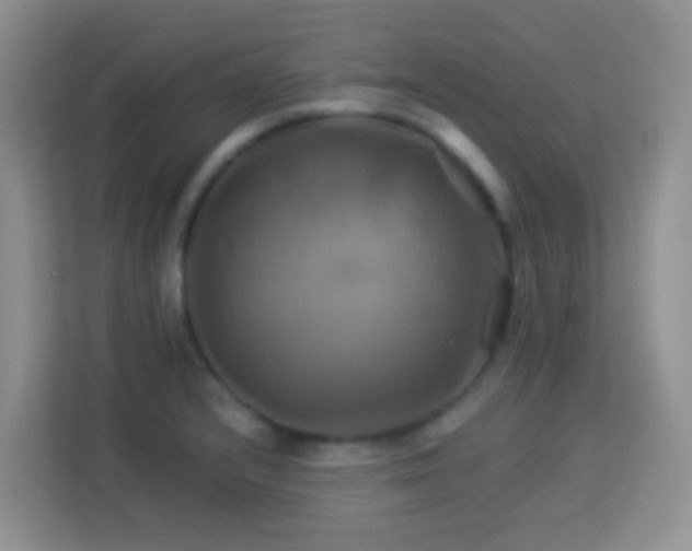 X0000114101232200910051438