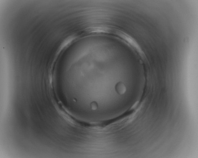 X0000114101234200910051438