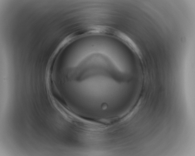 X0000114101235200910051438