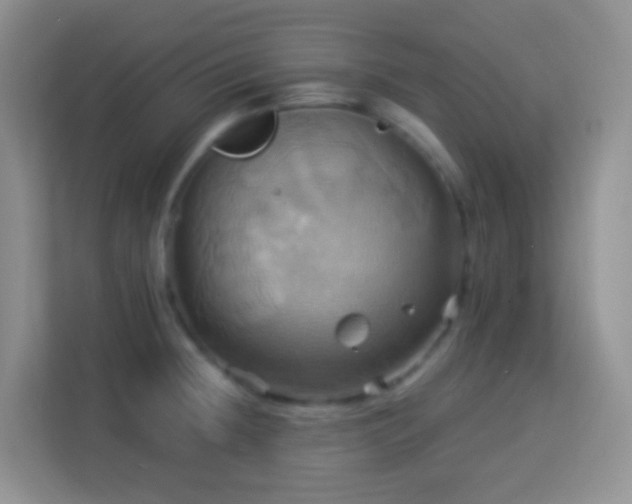 X0000114101236200910051438