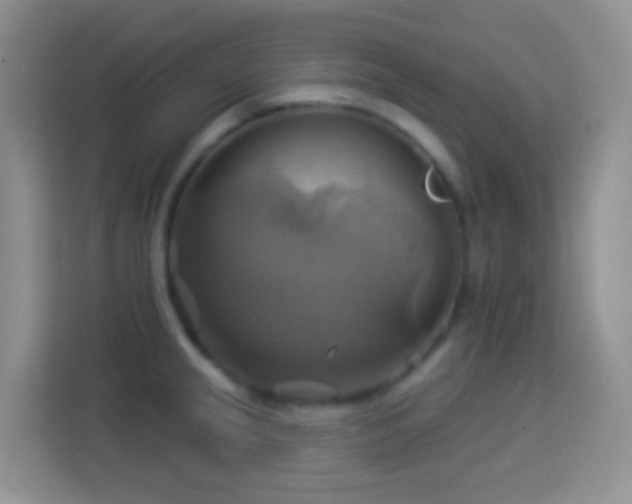 X0000114101237200910051439