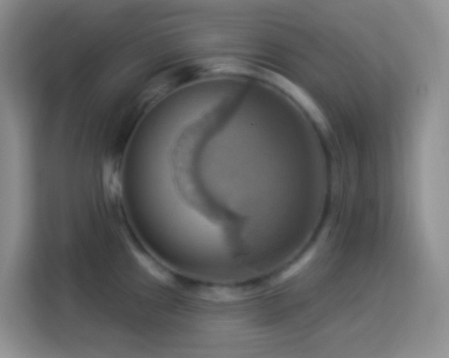 X0000114101241200910051439