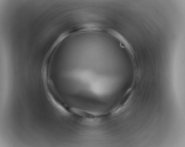 X0000114101243200910051439