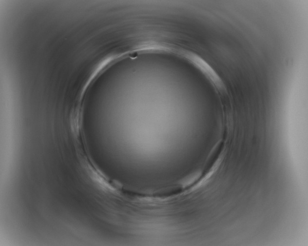 X0000114101244200910051439