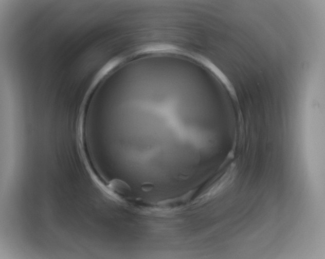 X0000114101245200910051439