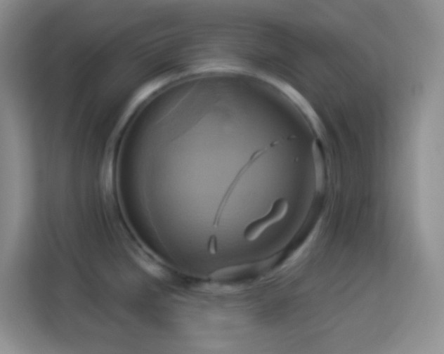 X0000114101246200910051439