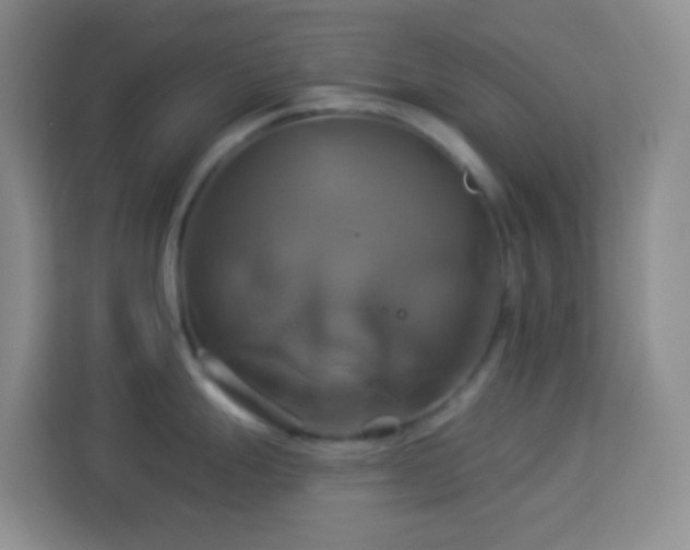 X0000114101247200910051439