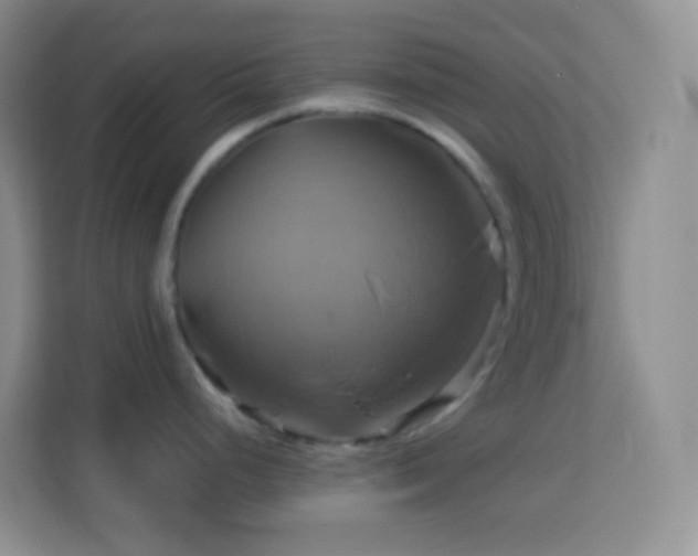 X0000114101248200910051439