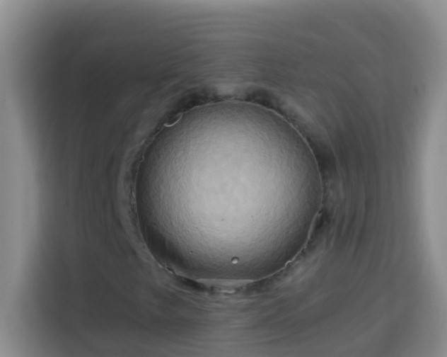 X0000114101249200910051438