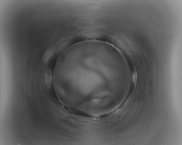 X0000114101251200910051438