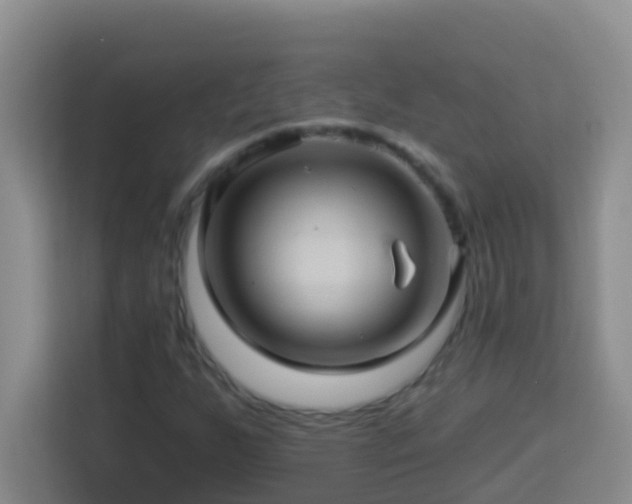 X0000114101255200910051438