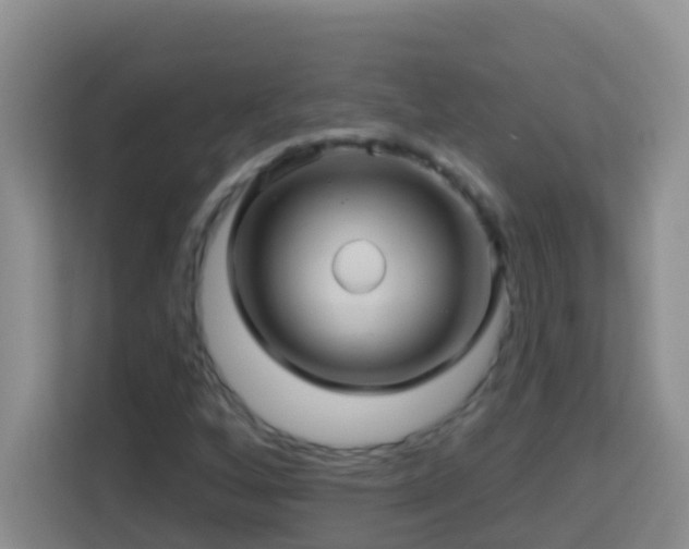 X0000114101256200910051438