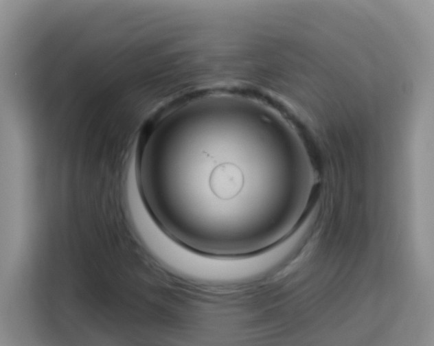 X0000114101257200910051438