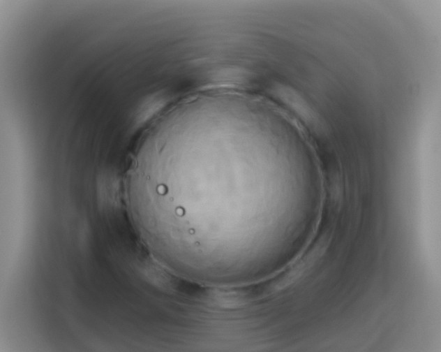 X0000114101258200910051438