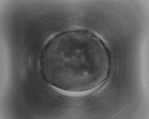 X0000114101259200910051438